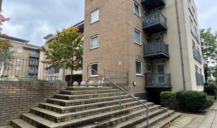 Alder Court